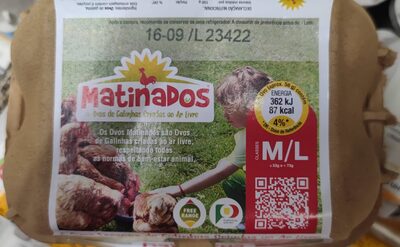 6 Ovos Frescos de Galinhas Criadas ao Ar Livre